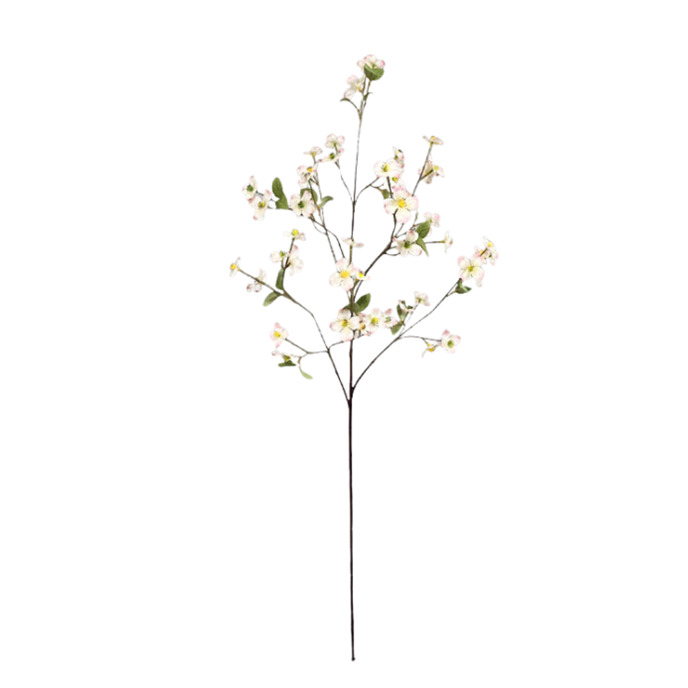 CORNUS KOUSA PINK 94CM