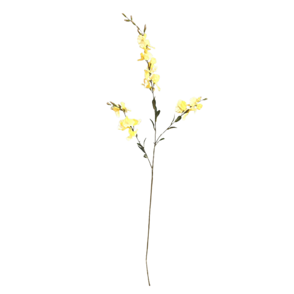 LATHYRUS YELLOW 92CM