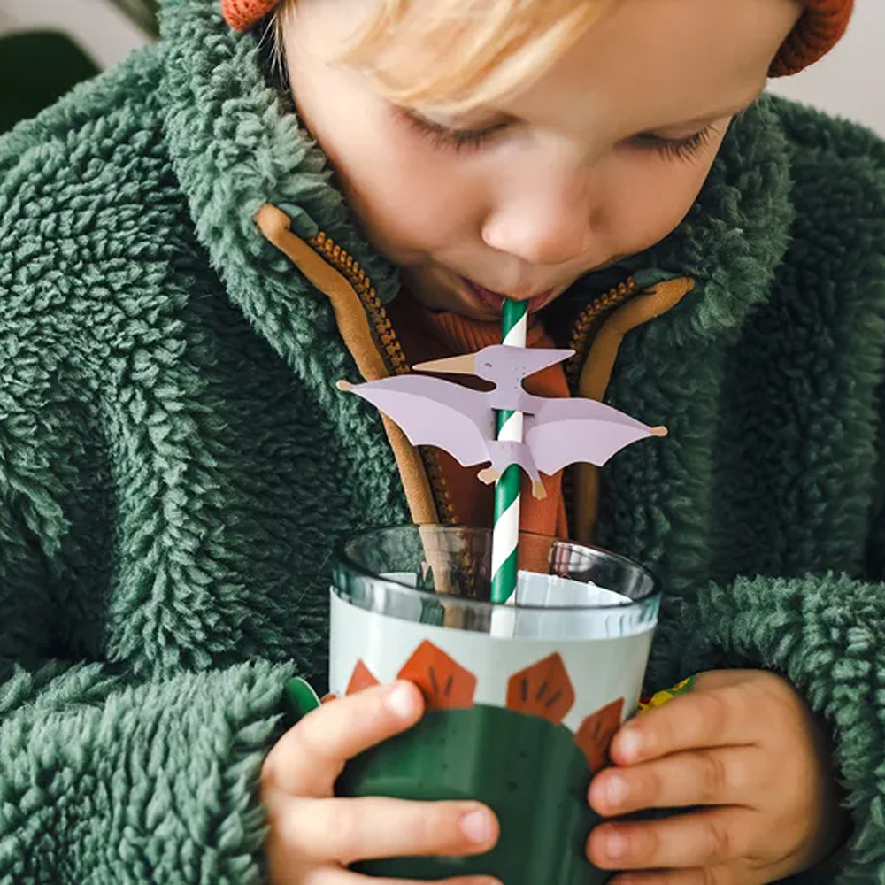 CUP SLEEVES 2 DESIGN DINOSAUR 6PCS - Image 2