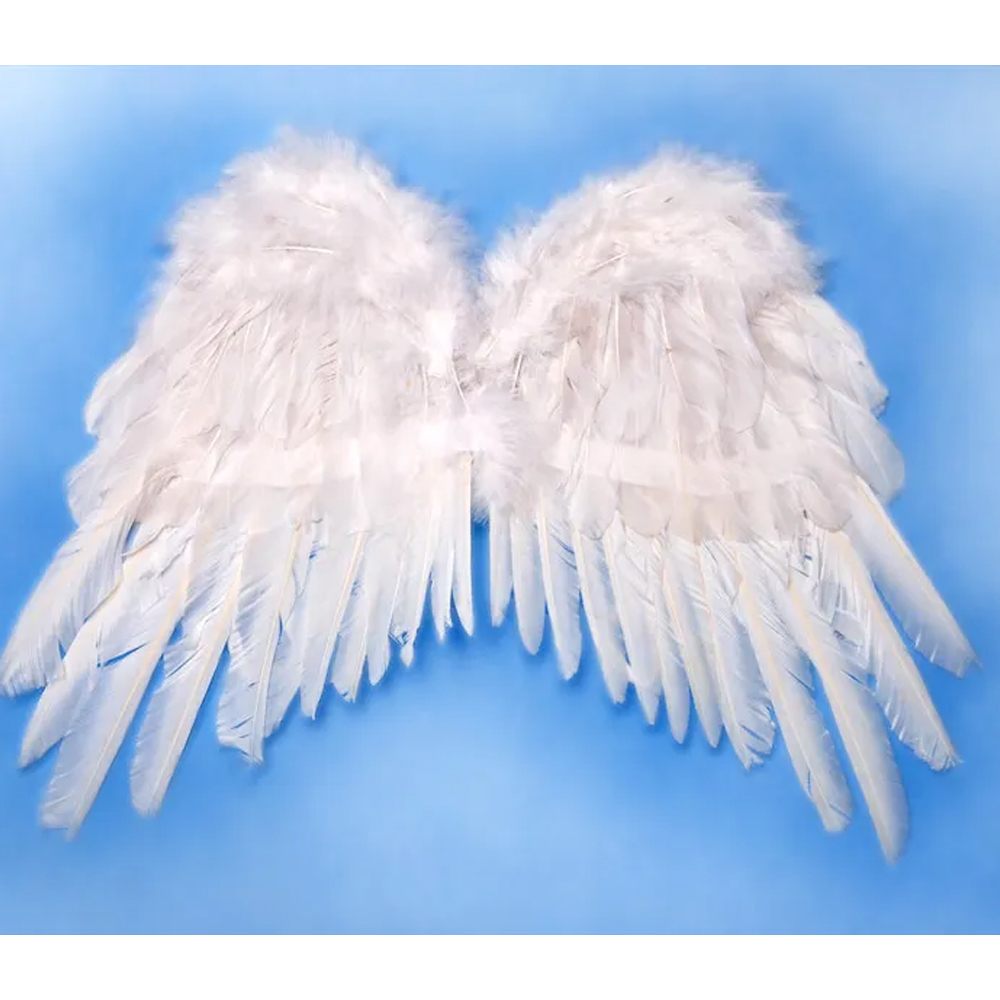 ANGEL'S WINGS WHITE 53X37CM - Image 2