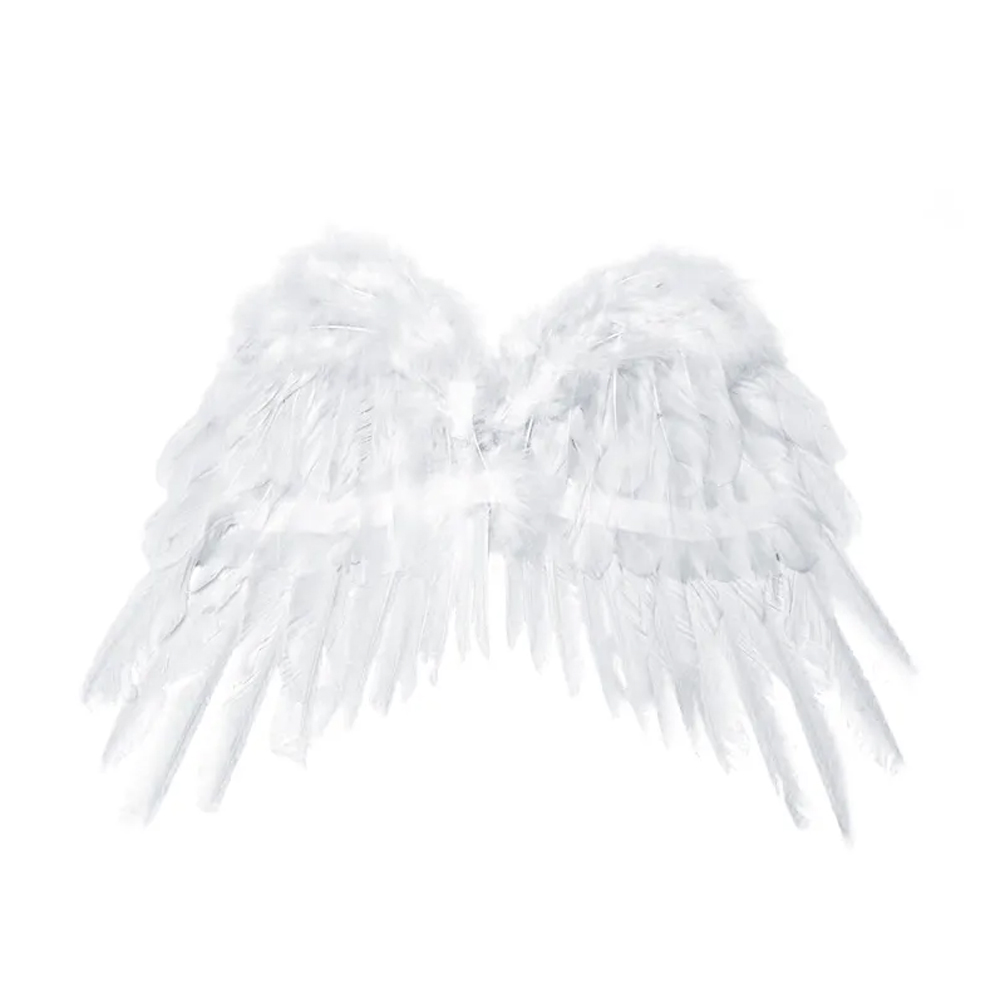 ANGEL'S WINGS WHITE 53X37CM
