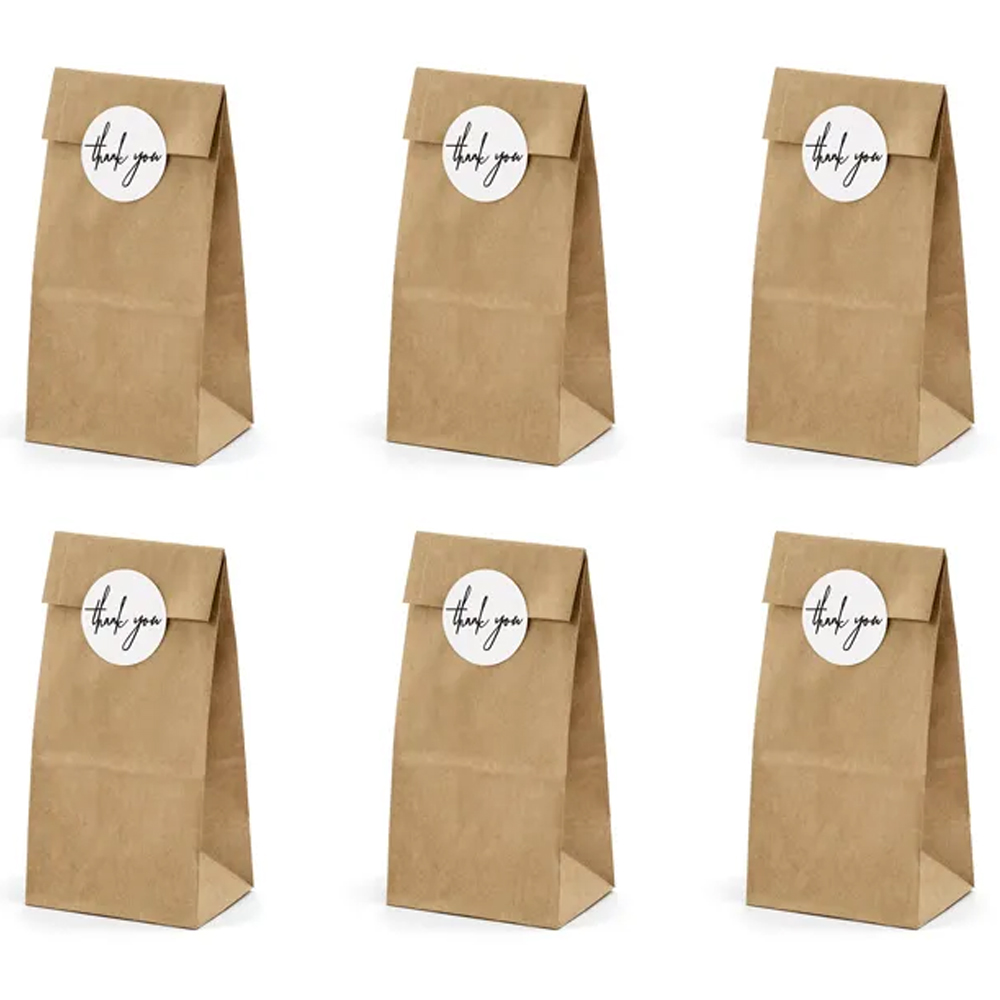 TREAT BAGS 3 KRAFT 6PCS
