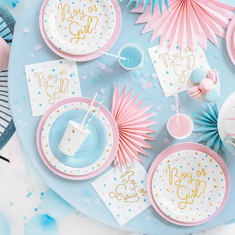 PLATES BOY OR GIRL 23CM 6PCS - Image 3