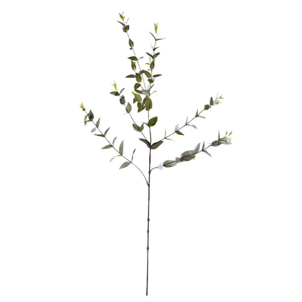 LIGUSTRUM GREEN/GREY 100CM