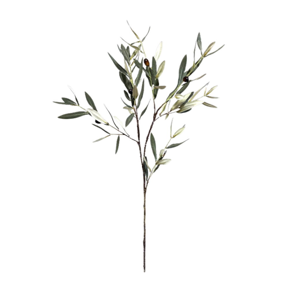 OLIVE STEM FRUSTCUS GREEN 80CM