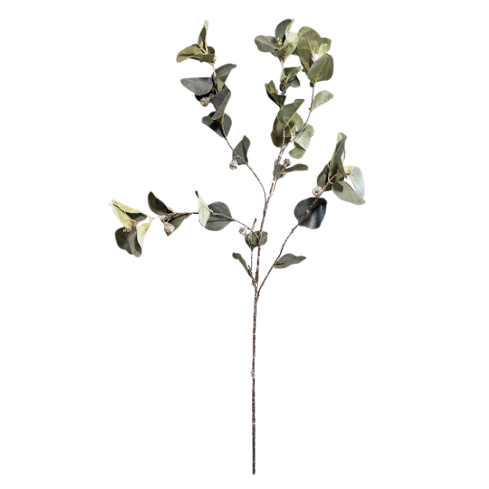 EUCALYPTUS STEM GRANDE FRUCTUS 105CM