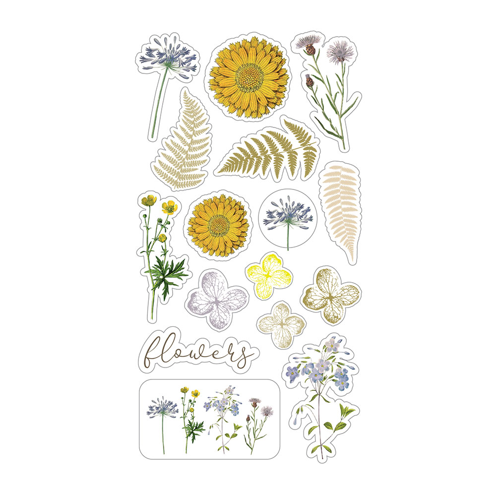 STICKERS TRANSPARENT BOTANICA - Image 2