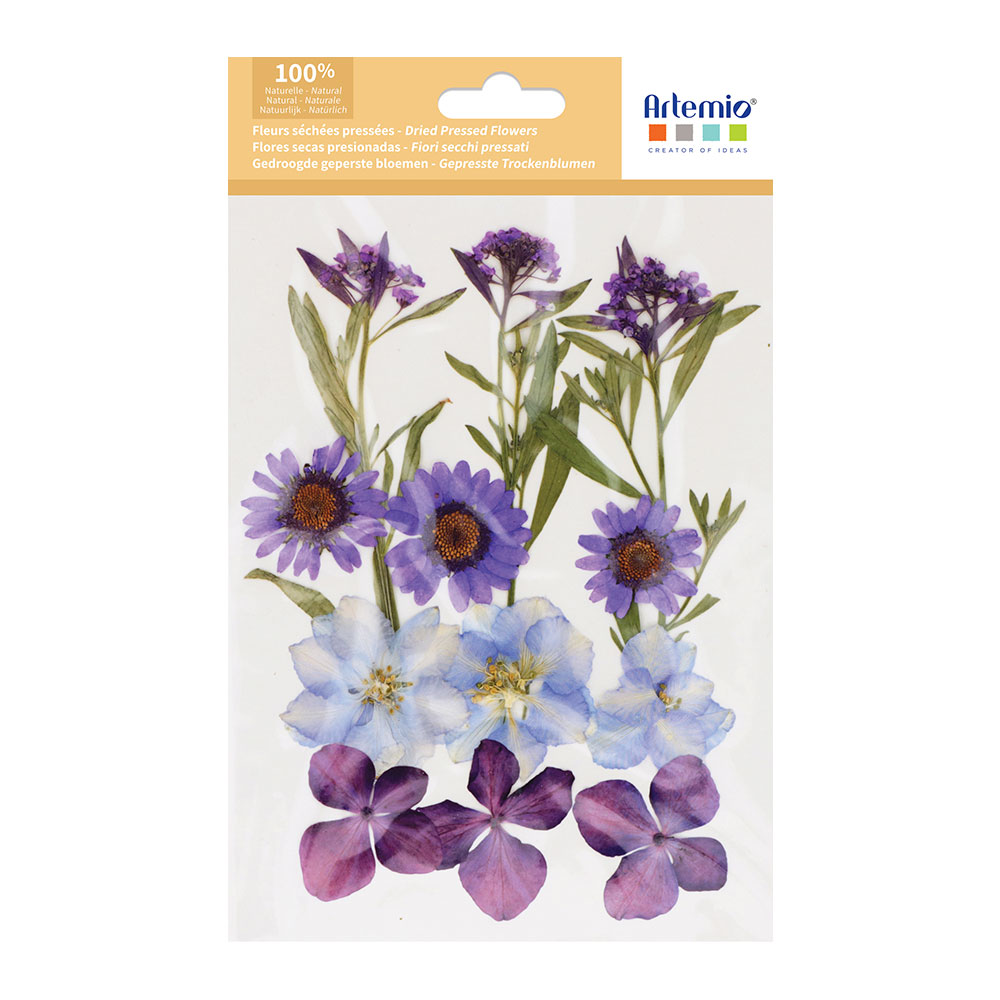 PRESSED FLOWERS DRIED PURPLE 14.5X10.5CM 12PCS - Image 2