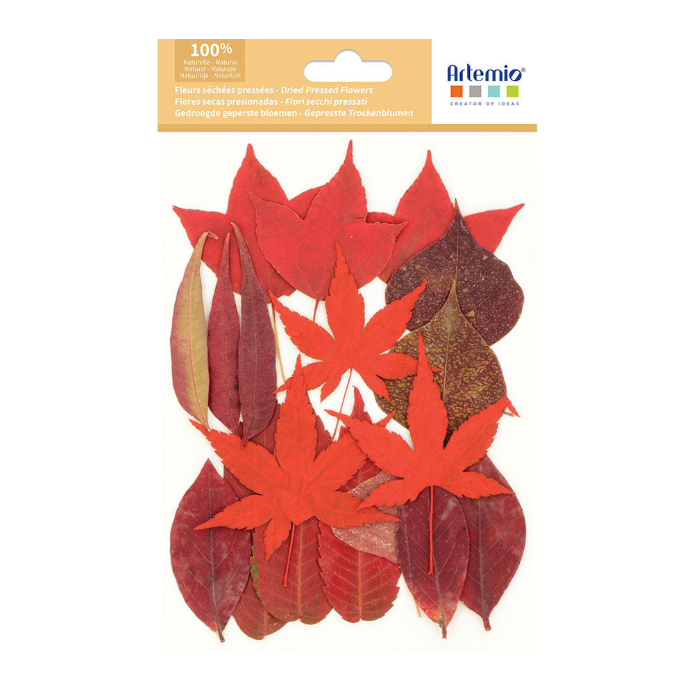 PRESSED FLOWERS RED LEAVES 14.5X10.5CM 18PCS - Image 2
