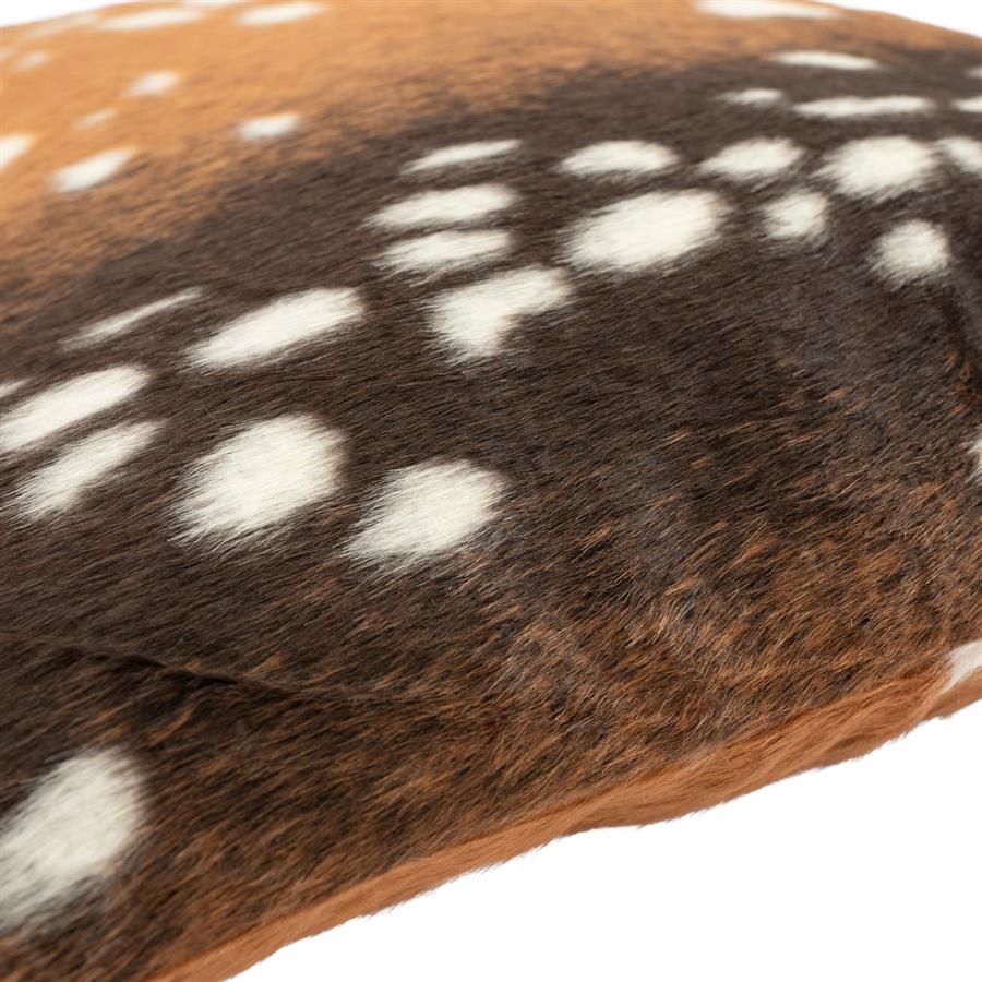 BAMBI 50X50X12CM - Image 2
